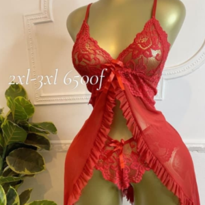 Rouge gorge
